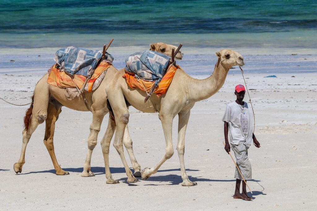 Diani Beach, Kenya