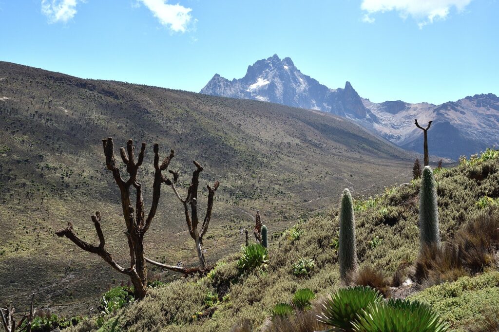 Discover Mount Kenya National Park